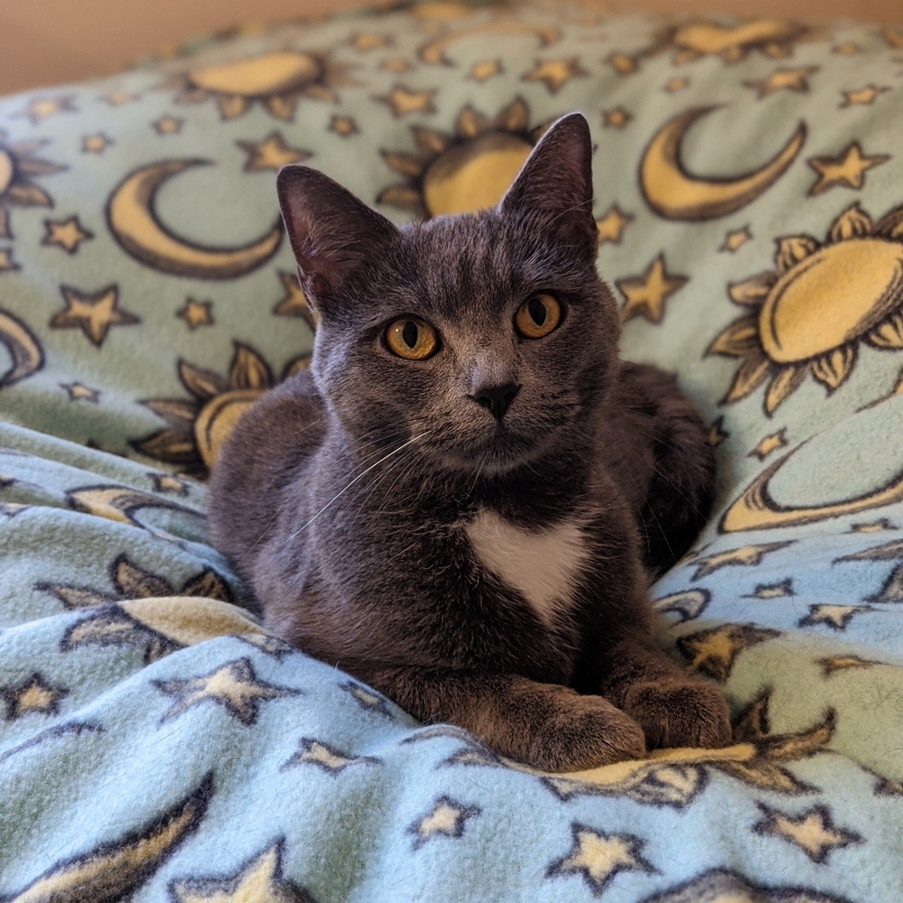 Meet your Posher, Zoe